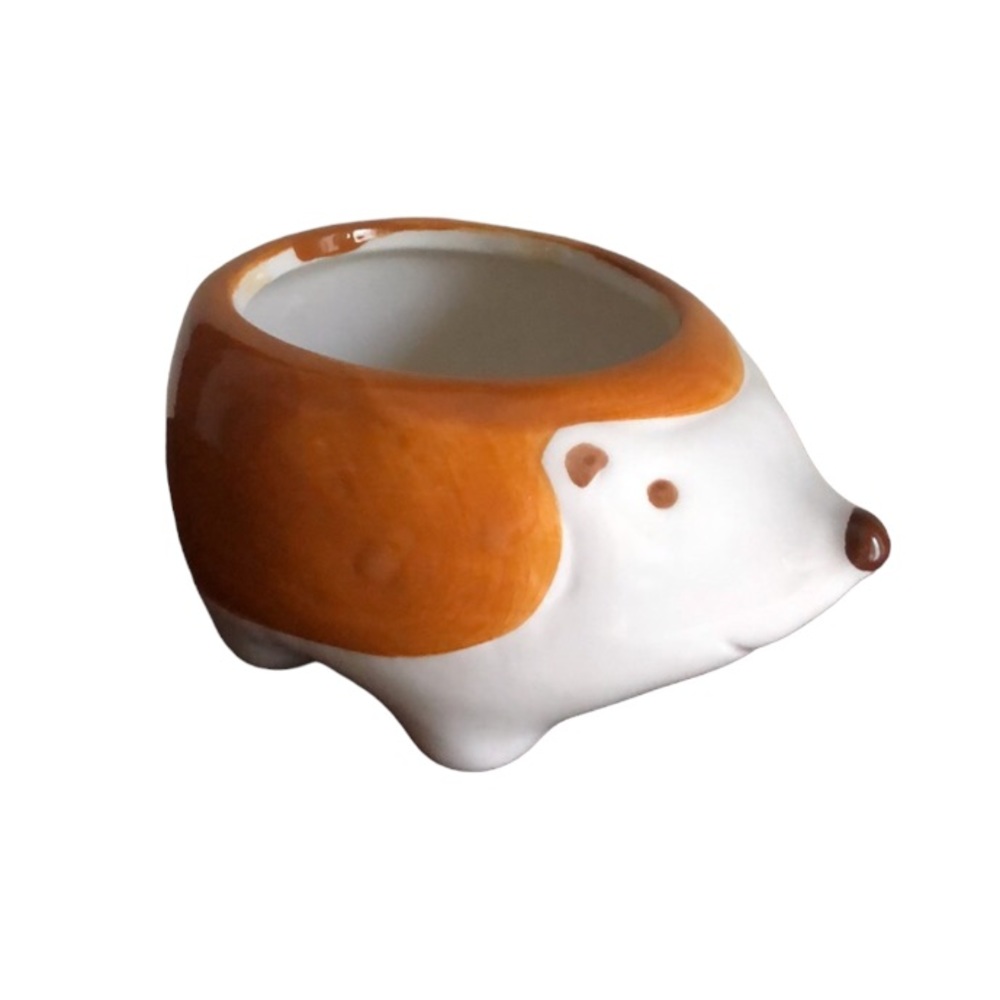 Ceramic Animal Hedgehog Planter
